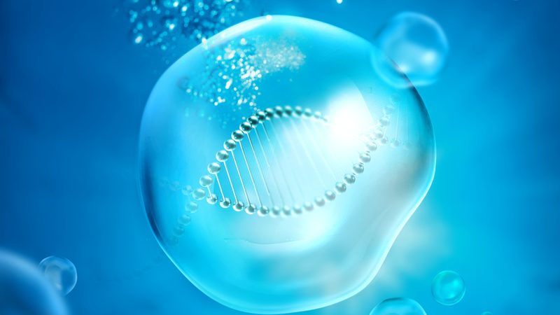 CDMO企业资质审查：如何确保研发安全与合规