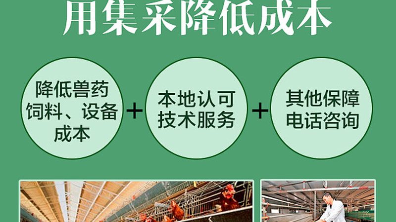 细胞治疗产品申报指南：FDA与国内NMPA的异同解析