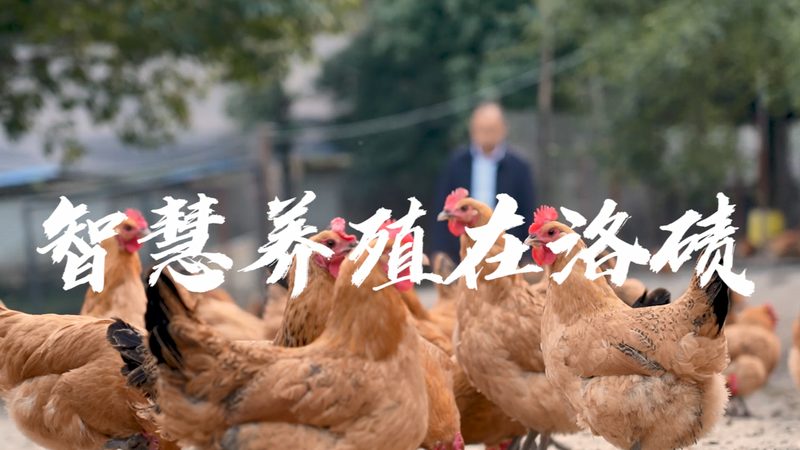 上海实验室生物试剂标准品，如何确保精准与合规？**