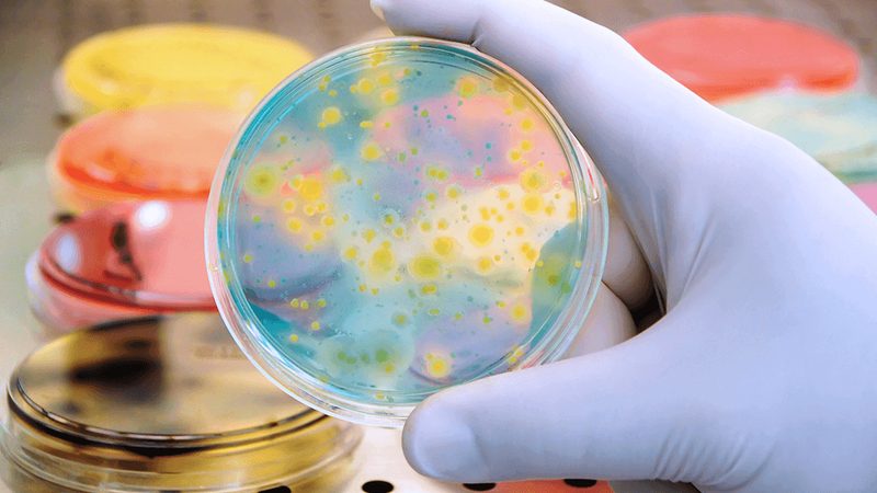 引物合成质量检测：标准与关键点解析**