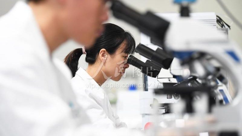 科研实验室耗材批发市场：揭秘其背后的供应链与选择之道**