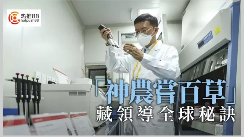 CDMO质量标准设置：关键要素与注意事项