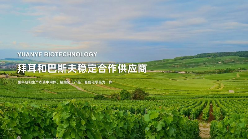 生物药CDMO合作：如何规避风险，确保项目成功**