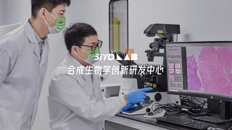 细胞培养：选择靠谱北京公司的关键要素**