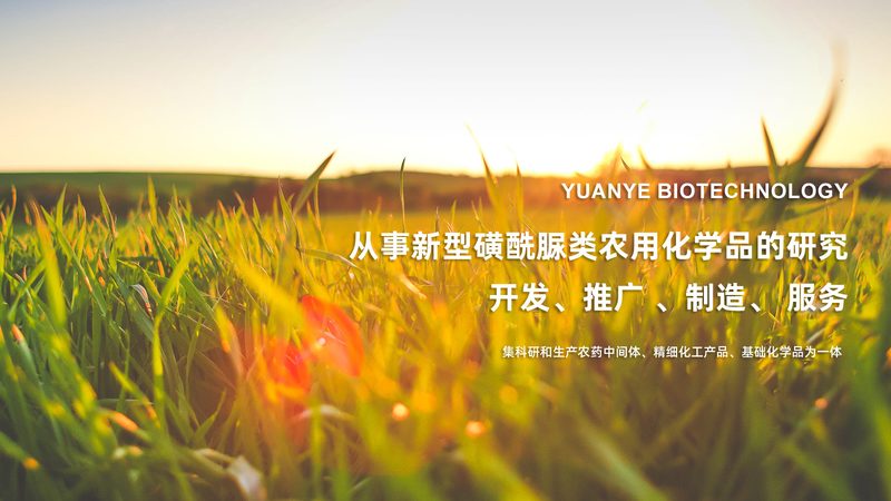 一次性细胞工厂选购，关键在于工艺与合规**
