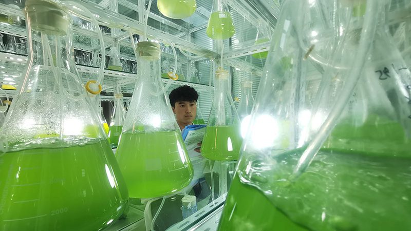 细胞培养基，研发路上的“营养液”**